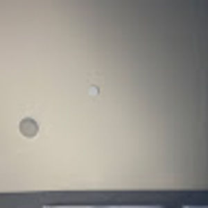 Meet your Posher, Ruru